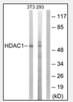 AP32221PU-N - HDAC1