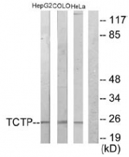 AP32256PU-N - TPT1 / TCTP