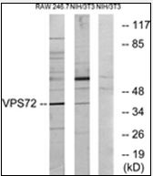 AP32269PU-N - VPS72