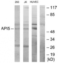 AP32280PU-N - API5 / MIG8