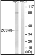 AP32303PU-N - ZC3H8