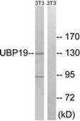 AP32328PU-N - USP19