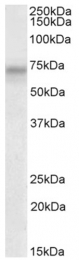 AP32705PU-N - PLK3