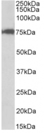 AP32732PU-N - CSTF3