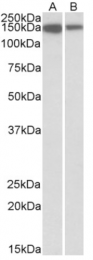 AP32803PU-N - MCF2L