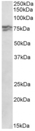 AP32936PU-N - RPA1