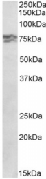 AP32936PU-N - RPA1