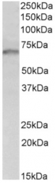 AP32960PU-N - GRB10 / GRBIR