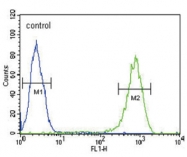 AP33512PU-N - 14-3-3 protein sigma / SFN