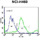 AP39032PU-N - SLC36A1 / PAT1