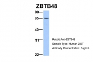 AP42073PU-N - ZBTB48