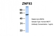 AP45232PU-N - ZNF93