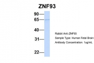 AP45232PU-N - ZNF93