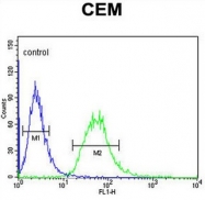 AP50699PU-N - Carbonic anhydrase 6