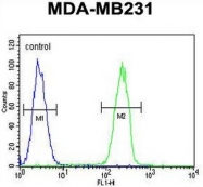 AP50734PU-N - Caspase-5
