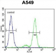 AP50843PU-N - CEP164