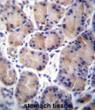 AP50871PU-N - Carboxylesterase 4A