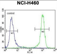 AP50909PU-N - Acetylcholine receptor delta subunit
