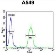 AP50979PU-N - Apolipoprotein J / Apo J
