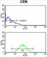 AP50983PU-N - CNDP1