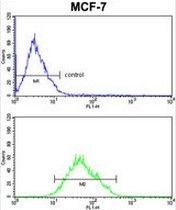 AP51032PU-N - Complex IV subunit Va