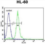 AP51064PU-N - CPT1C / CPT1-B
