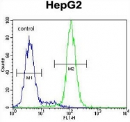 AP51107PU-N - Cystatin 9