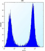 AP51131PU-N - Cathepsin K