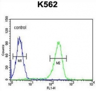 AP51144PU-N - CD183 / CXCR3