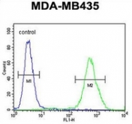 AP51235PU-N - Exonuclease V