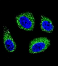 AP51252PU-N - 7-DHC reductase
