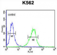 AP51275PU-N - Delta-like protein 4 / DLL4