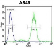 AP51364PU-N - Endothelin-1