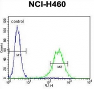 AP51433PU-N - CD249 / Glutamyl aminopeptidase