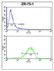 AP51438PU-N - ENTPD2 / CD39L1