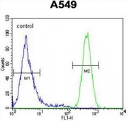 AP51440PU-N - HIF2A / HIF2 alpha