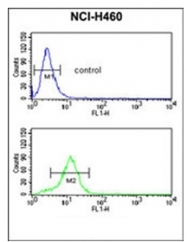 AP51465PU-N - Estrogen-related receptor beta
