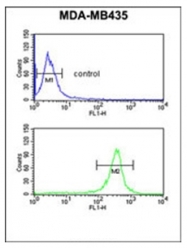 AP51487PU-N - Exostosin-like 3