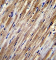 AP51496PU-N - F2RL2
