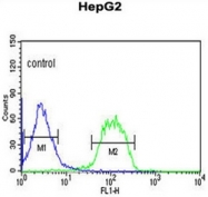 AP51629PU-N - FBXO3