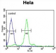 AP51696PU-N - Folate receptor alpha