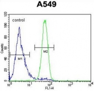 AP51731PU-N - Follistatin-related protein 1