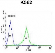 AP51782PU-N - GAS2-like protein 1