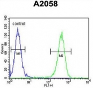 AP51823PU-N - GFPT2 / GFAT2