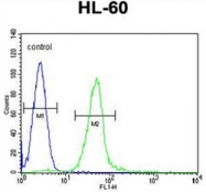 AP51830PU-N - Gamma-glutamyl hydrolase / GGH