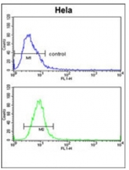 AP51865PU-N - Glypican-1 / GPC1