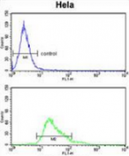 AP51937PU-N - Glutathione peroxidase 1 / GPX1