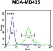 AP51953PU-N - NMDA Receptor 2A