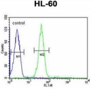 AP51959PU-N - Gastrin-releasing peptide receptor