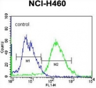 AP51963PU-N - Glutathione reductase